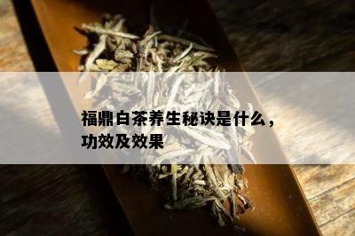 福鼎白茶养生秘诀是什么，功效及效果