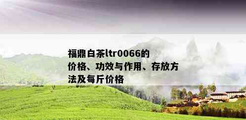 福鼎白茶ltr0066的价格、功效与作用、存放方法及每斤价格