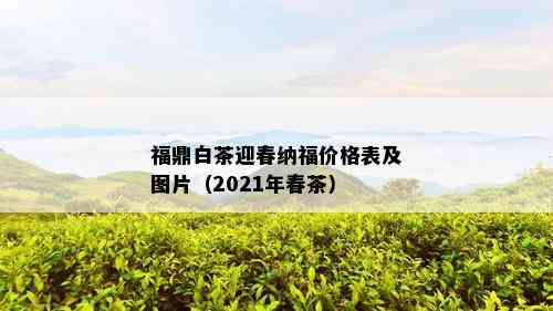 福鼎白茶迎春纳福价格表及图片（2021年春茶）