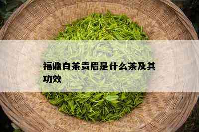 福鼎白茶贡眉是什么茶及其功效