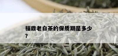 福鼎老白茶的保质期是多少？