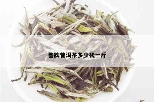 警牌普洱茶多少钱一斤