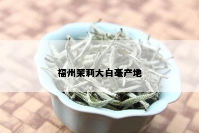 福州茉莉大白毫产地