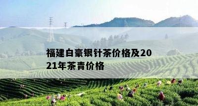 福建白豪银针茶价格及2021年茶青价格