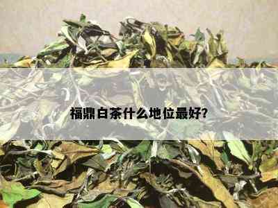 福鼎白茶什么地位更好？