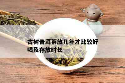 古树普洱茶放几年才比较好喝及存放时长