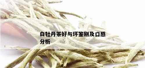 白牡丹茶好与坏鉴别及口感分析