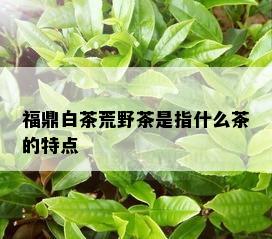 福鼎白茶荒野茶是指什么茶的特点