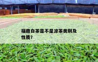 福鼎白茶是不是凉茶类别及性质？