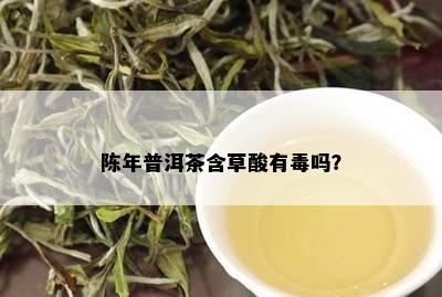 陈年普洱茶含草酸有吗？