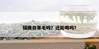 福鼎白茶毛吗？还能喝吗？