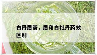 白丹眉茶，眉和白牡丹药效区别