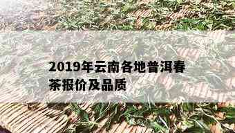 2019年云南各地普洱春茶报价及品质