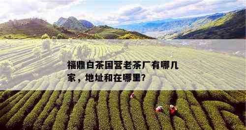 福鼎白茶国营老茶厂有哪几家，地址和在哪里？