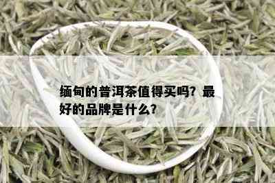 缅甸的普洱茶值得买吗？更好的品牌是什么？