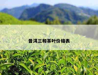 普洱三和茶叶价格表