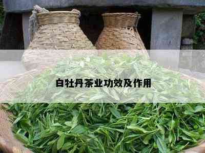 白牡丹茶业功效及作用