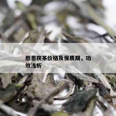 感恩茯茶价格及保质期，功效浅析