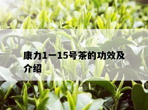 康力1一15号茶的功效及介绍