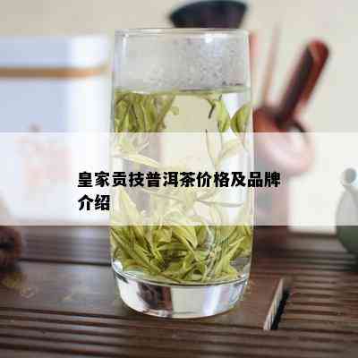 皇家贡技普洱茶价格及品牌介绍