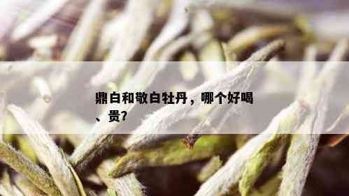 鼎白和敬白牡丹，哪个好喝、贵？