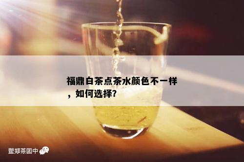 福鼎白茶点茶水颜色不一样，如何选择？