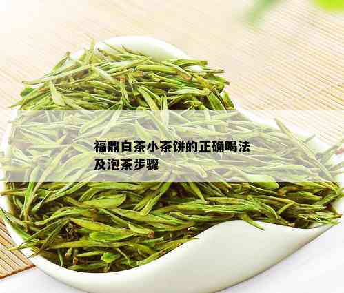 福鼎白茶小茶饼的正确喝法及泡茶步骤