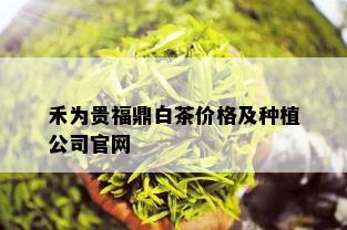 禾为贵福鼎白茶价格及种植公司官网