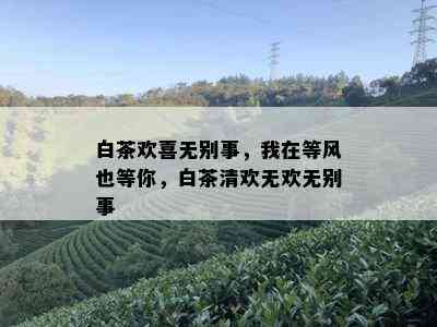 白茶欢喜无别事，我在等风也等你，白茶清欢无欢无别事