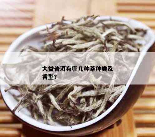 大益普洱有哪几种茶种类及香型？