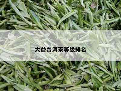 大益普洱茶等级排名