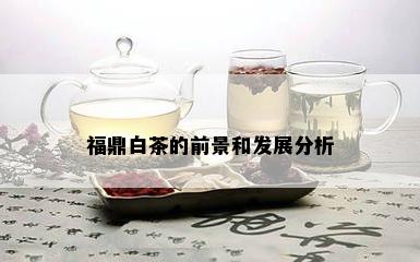 福鼎白茶的前景和发展分析