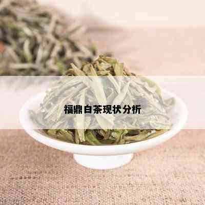 福鼎白茶现状分析