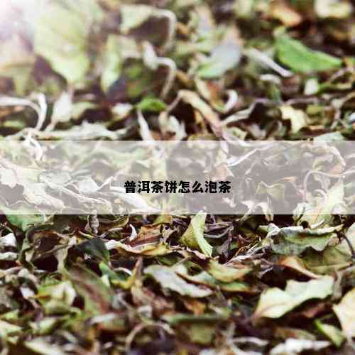 普洱茶饼怎么泡茶