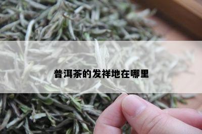 普洱茶的发祥地在哪里