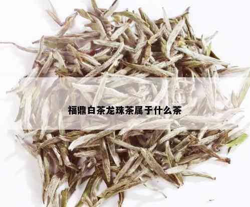 福鼎白茶龙珠茶属于什么茶