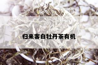 归来客白牡丹茶有机