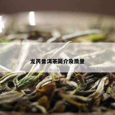 龙芮普洱茶简介及质量