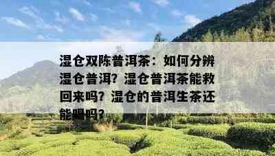 湿仓双陈普洱茶：如何分辨湿仓普洱？湿仓普洱茶能救回来吗？湿仓的普洱生茶还能喝吗？