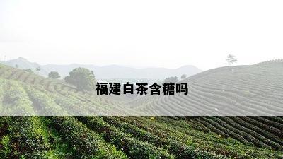 福建白茶含糖吗