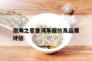 渤海之星普洱茶报价及品质评估