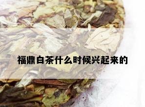 福鼎白茶什么时候兴起来的