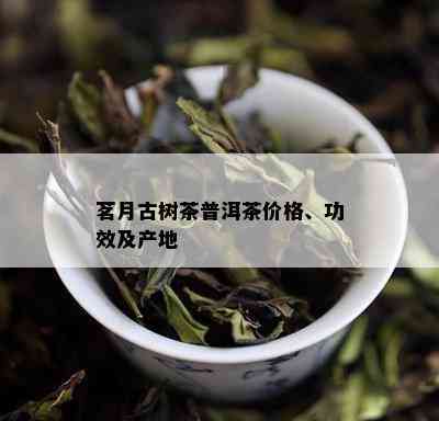 茗月古树茶普洱茶价格、功效及产地