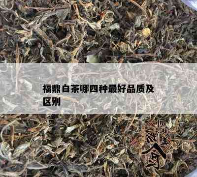 福鼎白茶哪四种更好品质及区别