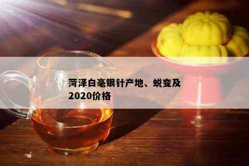 菏泽白毫银针产地、蜕变及2020价格