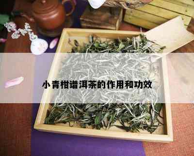 小青柑谱洱茶的作用和功效