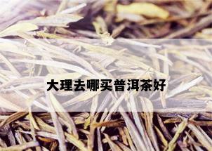 大理去哪买普洱茶好