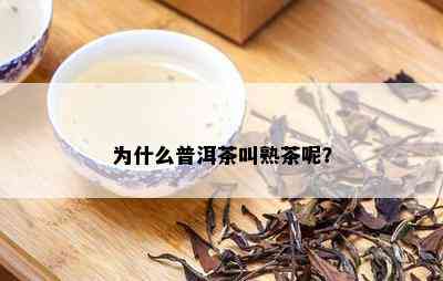 为什么普洱茶叫熟茶呢？