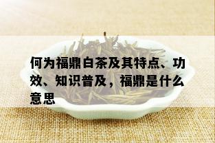 何为福鼎白茶及其特点、功效、知识普及，福鼎是什么意思