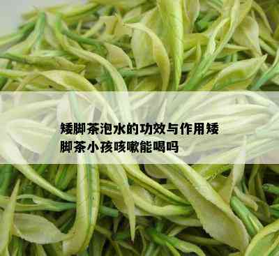 矮脚茶泡水的功效与作用矮脚茶小孩咳嗽能喝吗